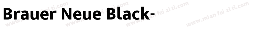 Brauer Neue Black字体转换